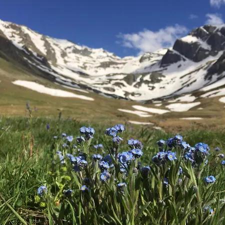 Kaya Life Uzungol